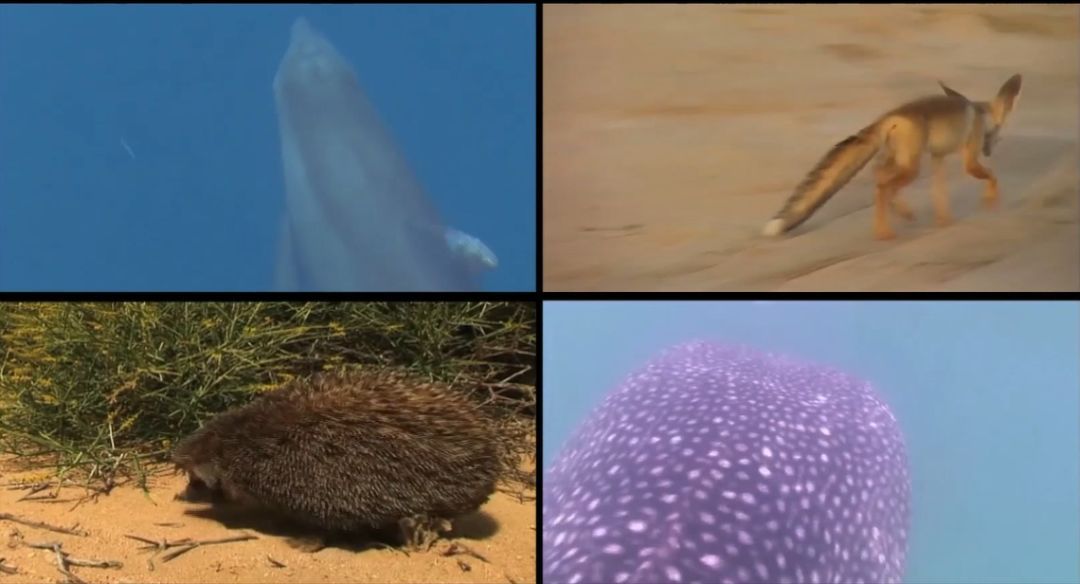 PA视讯(中国)集团官网 - PlayAce