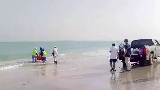 PA视讯(中国)集团官网 - PlayAce