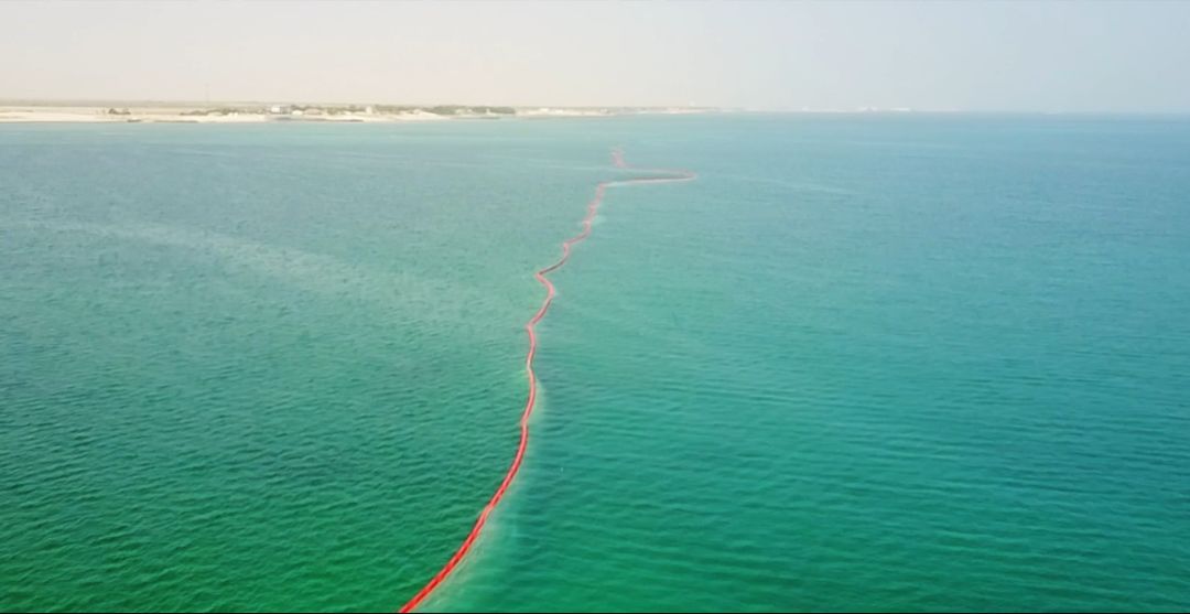 PA视讯(中国)集团官网 - PlayAce