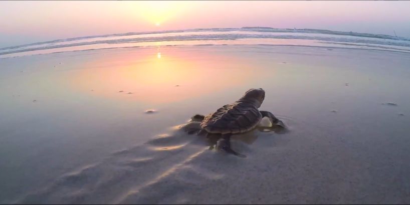 PA视讯(中国)集团官网 - PlayAce