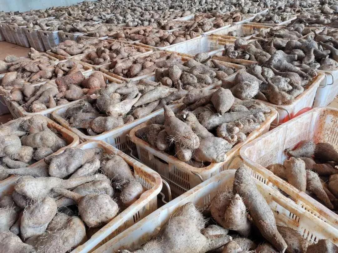 PA视讯(中国)集团官网 - PlayAce