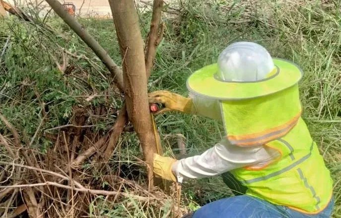 PA视讯(中国)集团官网 - PlayAce