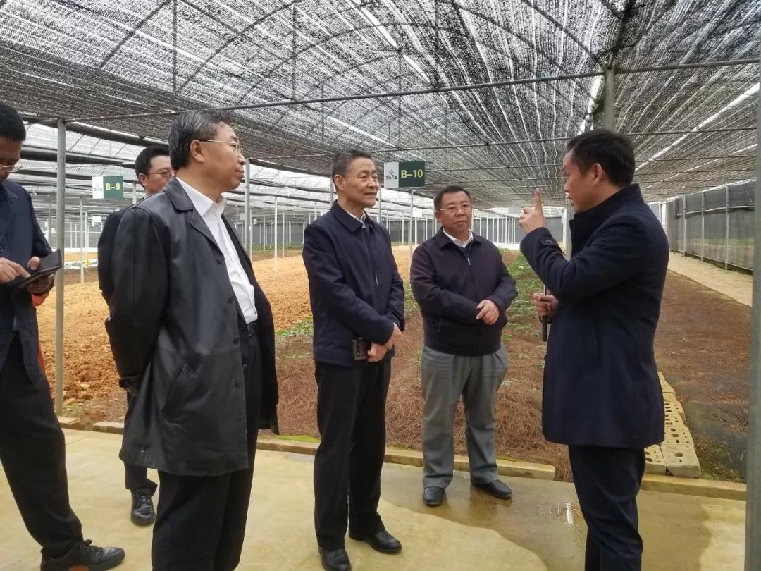 41F0DA7A3F8DE3F8B6FBB2E653B_0AC344A0_2AF20.jpg?e=