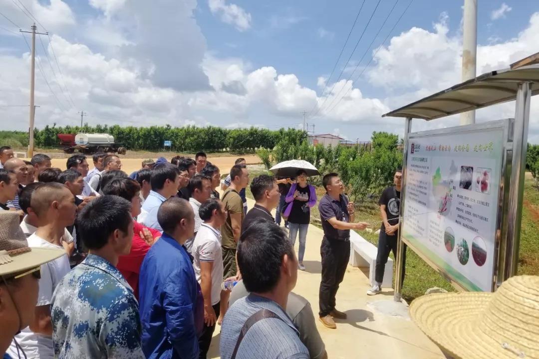 PA视讯(中国)集团官网 - PlayAce