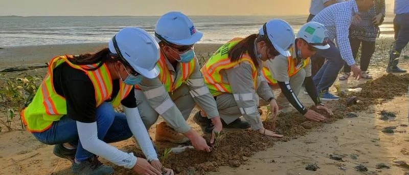 PA视讯(中国)集团官网 - PlayAce