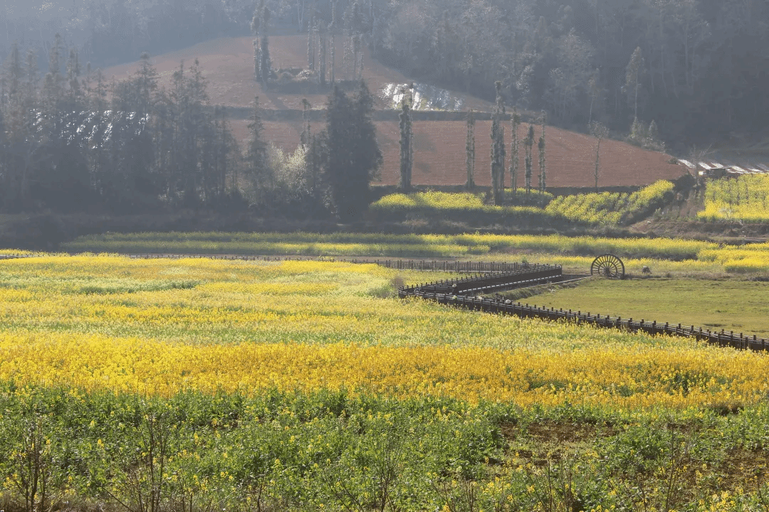 PA视讯(中国)集团官网 - PlayAce