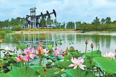 5337FC73190C07A57BF6F1511DF_15126608_1EFF3.jpg?e=