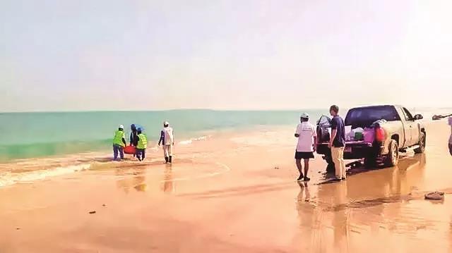 PA视讯(中国)集团官网 - PlayAce